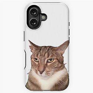 Tyga the Cat  iPhone Tough Case