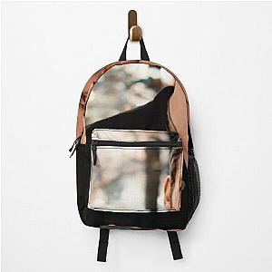 Vampire Diaries Backpacks - Klaus Mikaelson Backpack RB1312 [ID707]