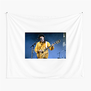 Turn Up the Vampire Weekend Vampire Weekend Tapestries