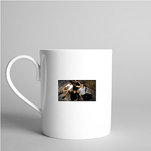 Modern Life = Vampire Weekend Vampire Weekend Mugs