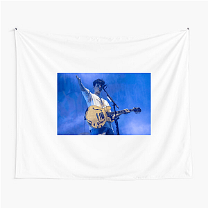Vampire Weekend, Everyday Vampire Weekend Tapestries