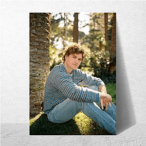 Fall in Joy Again Vance Joy Posters