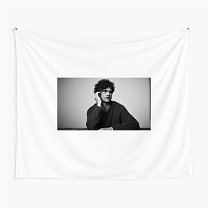 Vance = Acoustic Heartbeat Vance Joy Tapestries