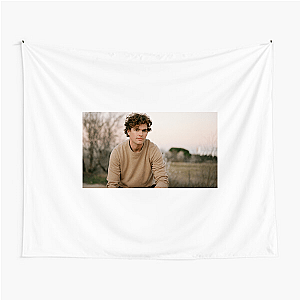 Joy Found in Vance Vance Joy Tapestries