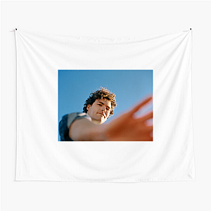 Joy Is Acoustic Vance Joy Tapestries