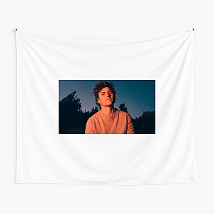 Vance = Calm Storm Vance Joy Tapestries