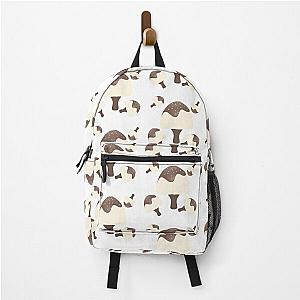 Ice cream, vanilla ice cream, chocolate, ice cream sticks Backpack