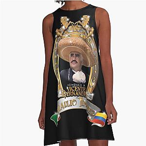Vicente Fernandez A-Line Horseshoe Dress