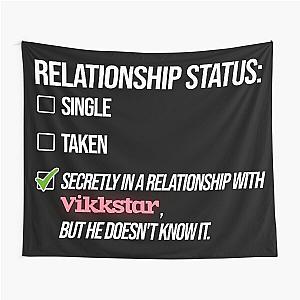 Relationship with Vikkstar Tapestry