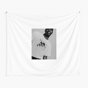 Vince Staples The Vince Staples Show Vince Staples Tapestries