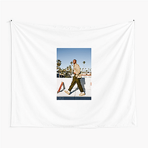 Vince Staples Rapper Storyteller Vince Staples Tapestries