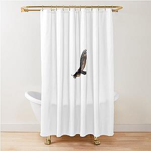 Isolated Turkey Vulture 2020-3 Shower Curtain