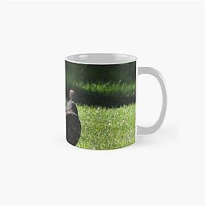 Vultures in Canada Classic Mug