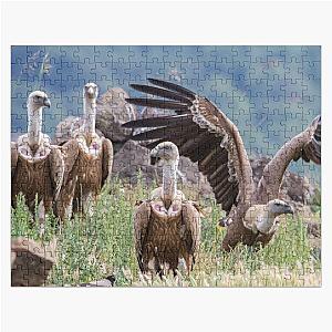 Griffon Vulture 1 Jigsaw Puzzle