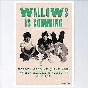 Wallows Is Coming Poster