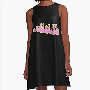 Wallows Wavy Script Wallows Merch A-Line Dress