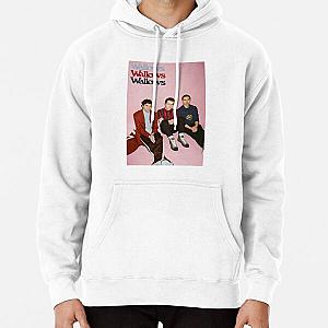 Funny Men Concert wallows wallows wallows 2   Pullover Hoodie RB2711