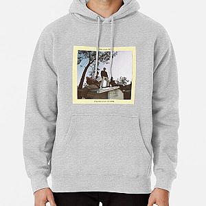 Wallows Party Family Indie Over Pullover Hoodie RB2711