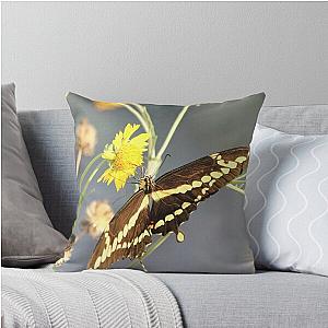 Wingspan Throw Pillow