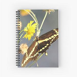 Wingspan Notebook