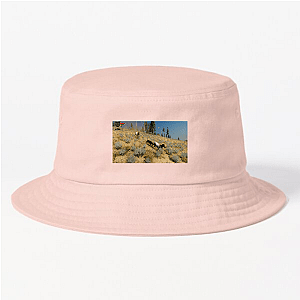 WolfQuest = Pack Life Wolfquest Hats & Caps