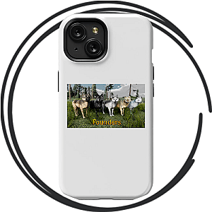 Wolfquest Cases