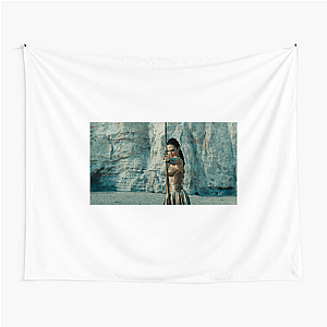 Wonder Woman Unforgettable Heroine Wonder Woman Tapestries