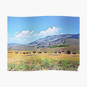 Yellowstone Bison Herd Illustration Poster RB1608