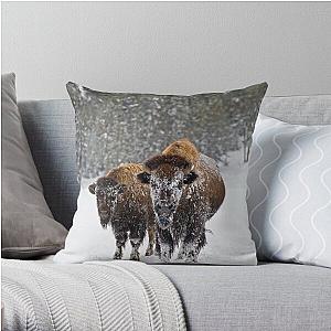 Bison in the Snow, Yellowstone National Park Throw Pillow RB1608