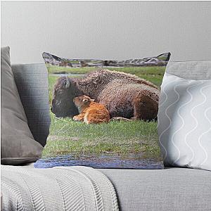 Bison and Calf Napping, Yellowstone Throw Pillow RB1608