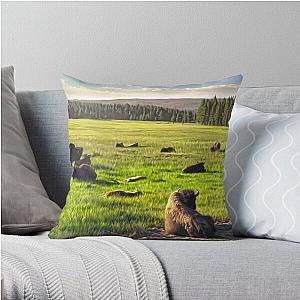 Yellowstone, Yellowstone National Park Throw Pillow RB1608