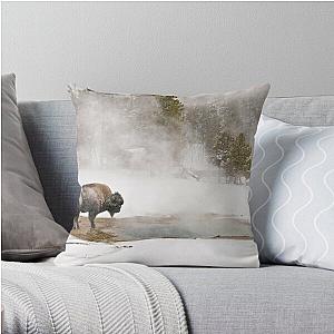 Bison Keeping Warm, Yellowstone National Park Throw Pillow RB1608