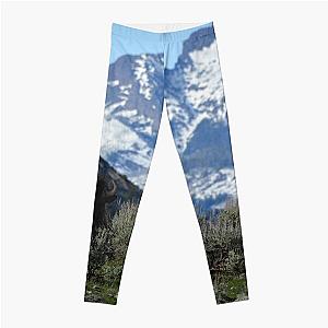 Bison in Yellowstone, Yellowstone Montana,Yellowstone Wyoming, Bison in Mountains Leggings RB1608