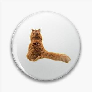 zayn the tiger tabby cat Pin