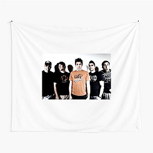 Zebrahead Party Like A Zebra Zebrahead Tapestries
