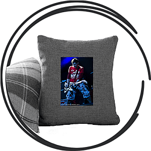 Zebrahead Pillows Cover