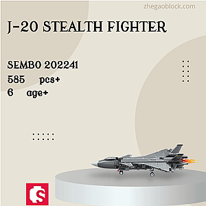 SEMBO Block 202241 J-20 Stealth Fighter Military
