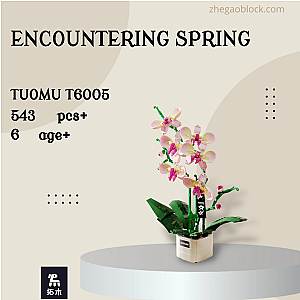 TuoMu Block T6005 Encountering Spring Creator Expert